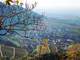 Altenberg