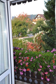 Gasthaus Auerhahn
