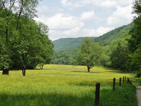 Biosphärenhotel Graf Eberhard