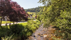 Ringhotel Sonnenhof