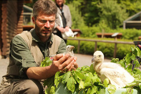 Natur-Resort Tripsdrill
