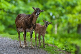 Natur-Resort Tripsdrill