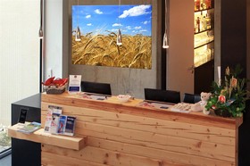 Best Western Plus BierKultur Hotel