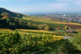 Best Western Plus Hotel Fellbach-Stuttgart