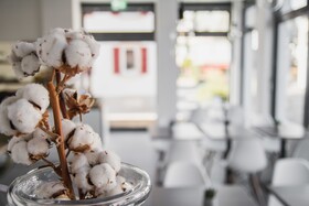 Hayta Hotel Stuttgart Airport Messe