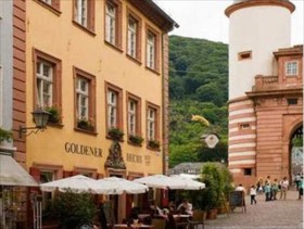 Goldener Hecht