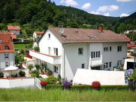 Zum Löwen Heidelberg