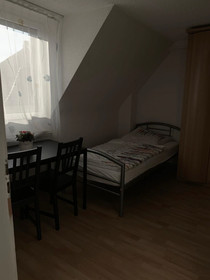 Heidelberg Guesthouse