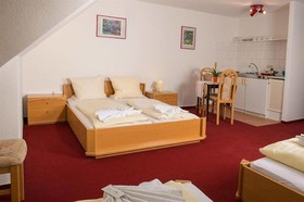 Hotel Leo Mühlhausen