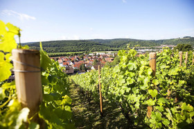 Hotel Lamm Hebsack