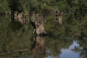 Landgasthof Ratz