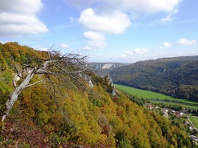 Landgasthof Unger