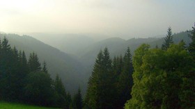 Schwarzwaldgasthaus Linde