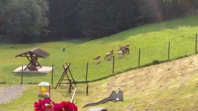 Hotel-Restaurant Jägerhof