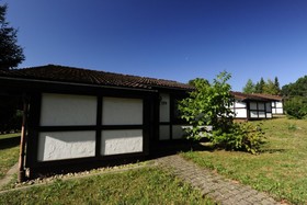 Holiday Park- Scout