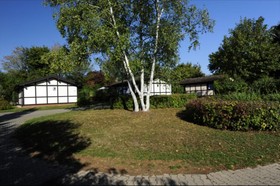 Holiday Park- Scout