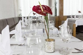 Hotel die LINDE