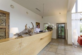 Hotel die LINDE