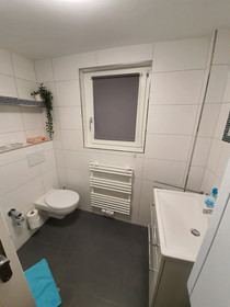 Ferienwohnungen Am Blauen Hut