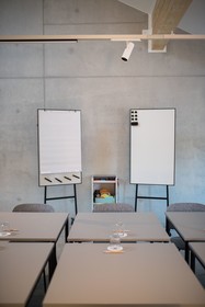 Haaus