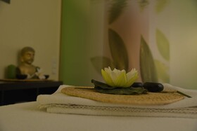 Best Western Plus Palatin Hotel