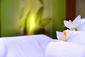 Best Western Plus Palatin Hotel