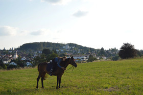 Raitelberg Resort