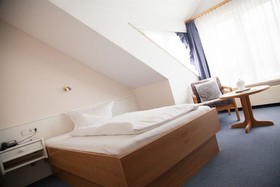 Hotel Traube Revital