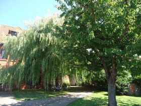 Wilhelmshof