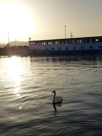 Wohnschiffe Severa 1 & 2