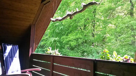 Ferienwohnung Haus am Wald
