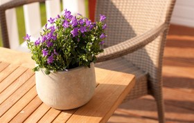 Strandhafer Aparthotel