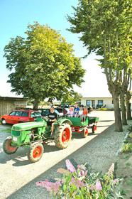 Ferienhof Alte Mühle