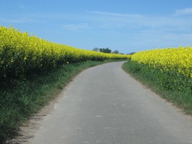 Ferienhof Höpner