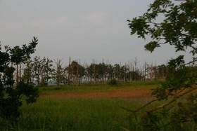 Schlösschen Sundische Wiese