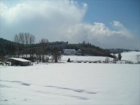 Linden