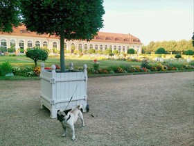 Der Platengarten