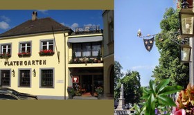 Der Platengarten
