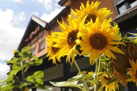 Bio Hotel Bayerischer Wirt