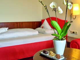 Hotel Das Ludwig Bad Griesbach