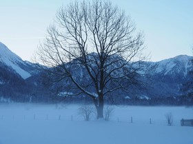 DEVA Hotel Alpenhof