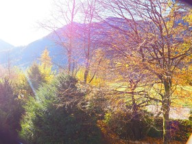DEVA Hotel Alpenhof