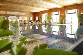 Alm- & Wellnesshotel Alpenhof