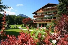 Alm- & Wellnesshotel Alpenhof
