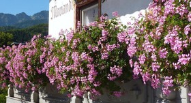 Mariandl