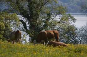 Seeblick