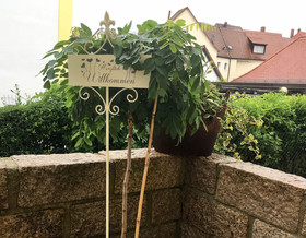 Haus Luitpold