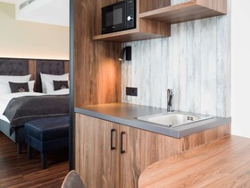 Holiday Inn - the niu, Saddle Fürth