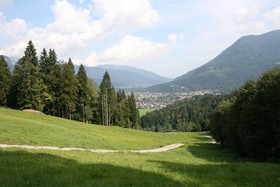 Almenrausch und Edelweiss