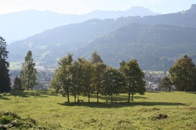 Almenrausch und Edelweiss
